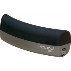 Roland BT1