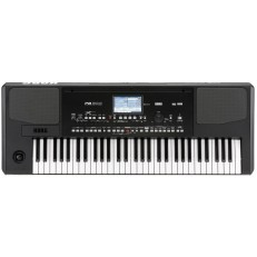 KORG PA300